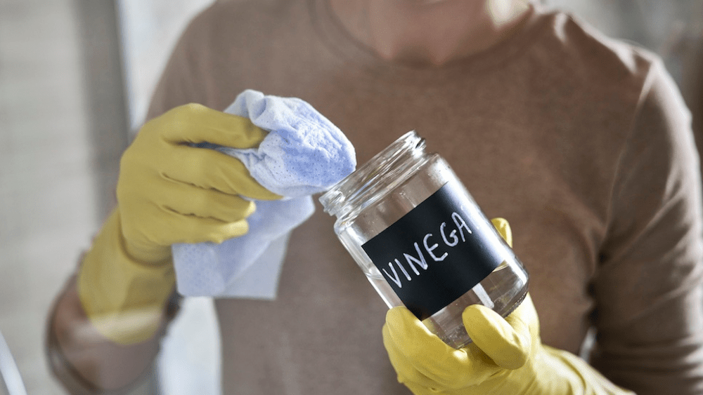 How To Clean a Single Serve Coffee Maker with Vinegar