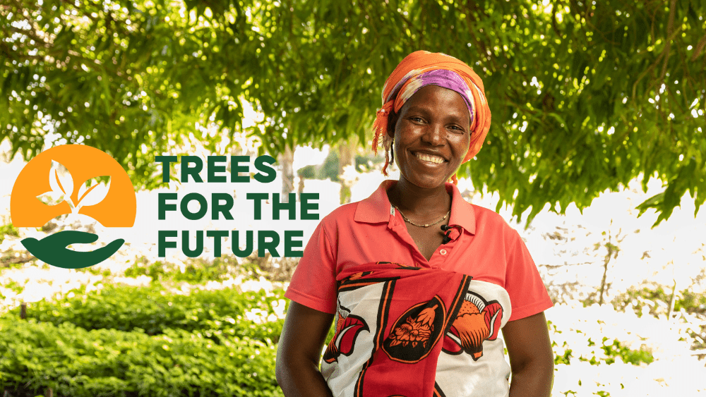 Over 100,000 Trees Planted with Trees for the Future! - Zavida Coffee