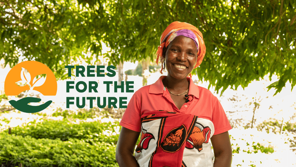 We’ve Planted Over 802,503 Trees with Trees for the Future! - Zavida Coffee