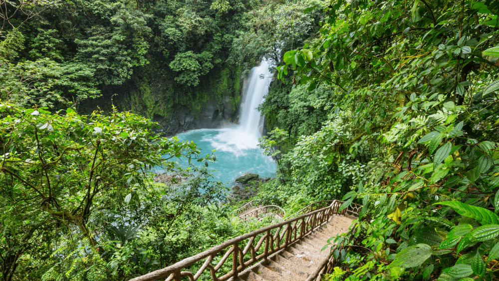 A Brief History: Costa Rican Coffee 101 - Zavida Coffee