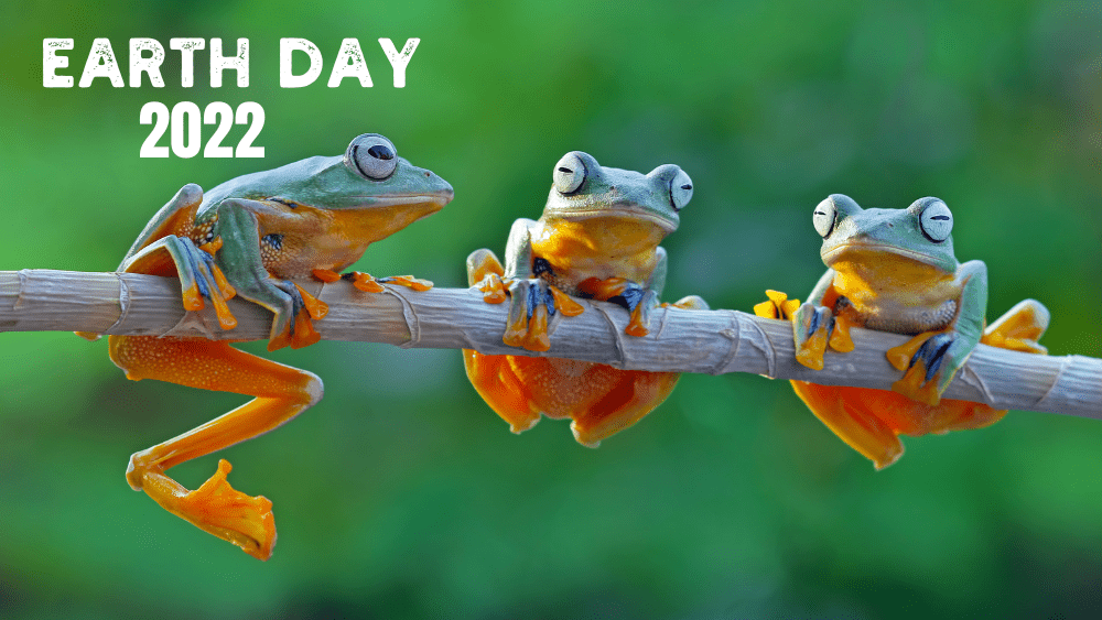 Earth Day 2022: Adjust Your Coffee Routine to Help the Environment - Zavida Coffee