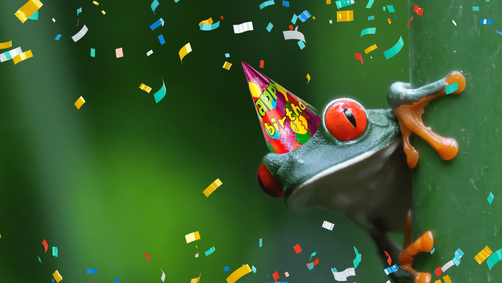 Zavida Celebrates 7 Years of Organic Coffee - Zavida Coffee